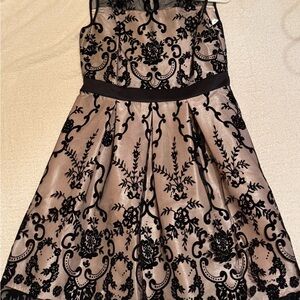 Danny & Nicole Black and Blush A-Line Midi Dress